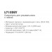 Ledeme L71006Y